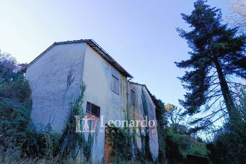 Villa i Massarosa, Lucca, Massarosa - € 200.000 | Ref: S463 - foto 14