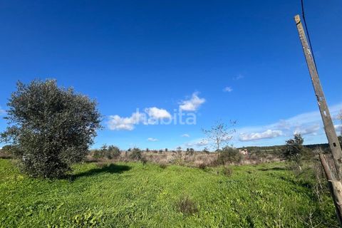Tomt i Santo Andre, Setubal, Santo Andre - € 690 000 | Ref: IS012602 - foto 3