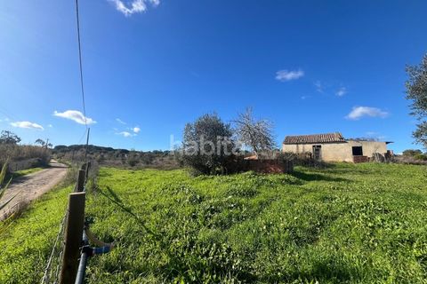 Tomt i Santo Andre, Setubal, Santo Andre - € 690 000 | Ref: IS012602 - foto 4