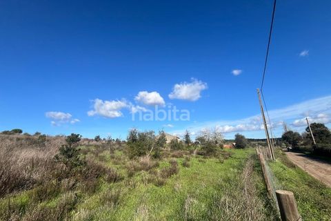 Tomt i Santo Andre, Setubal, Santo Andre - € 690 000 | Ref: IS012602 - foto 5