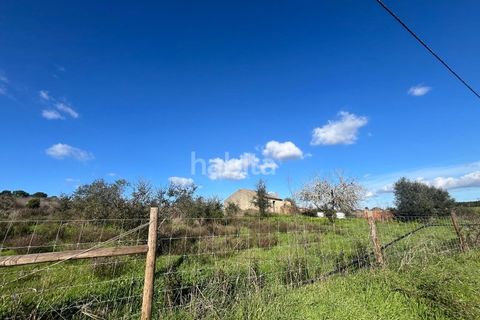 Tomt i Santo Andre, Setubal, Santo Andre - € 690 000 | Ref: IS012602 - foto 6