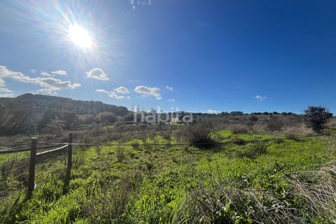 Tomt i Santo Andre, Setubal, Santo Andre - € 690 000 | Ref: IS012602 - foto 11