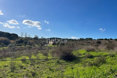 Tomt i Santo Andre, Setubal, Santo Andre - € 690 000 | Ref: IS012602 - foto 12