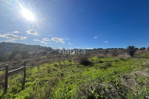 Tomt i Santo Andre, Setubal, Santo Andre - € 690 000 | Ref: IS012602 - foto 16