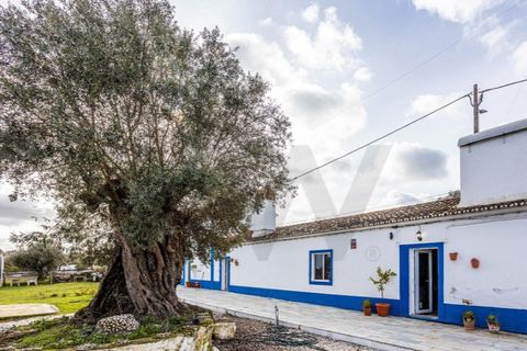 Farm i Evora, Evora, Evora - € 525.000 | Ref: KWPT-026629 - foto 2