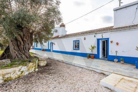 Farm i Evora, Evora, Evora - € 525.000 | Ref: KWPT-026629 - foto 37