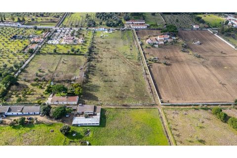 Farm i Evora, Evora, Evora - € 525.000 | Ref: KWPT-026629 - foto 39