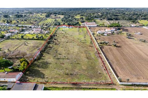 Farm i Evora, Evora, Evora - € 525.000 | Ref: KWPT-026629 - foto 45