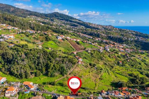 Helårsgrund i Calheta, Madeira, Calheta - € 65.000 | Ref: KWPT-024135 - foto 20