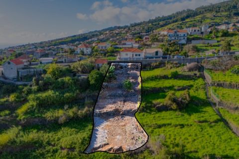 Helårsgrund i Calheta, Madeira, Calheta - € 65.000 | Ref: KWPT-024135 - foto 10