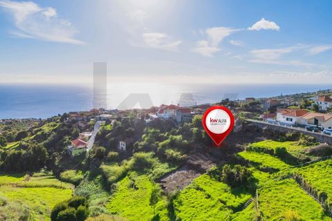 Helårsgrund i Calheta, Madeira, Calheta - € 65.000 | Ref: KWPT-024135 - foto 25