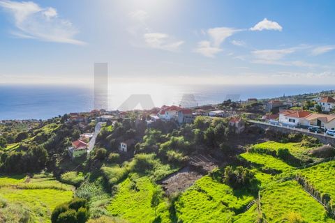 Helårsgrund i Calheta, Madeira, Calheta - € 65.000 | Ref: KWPT-024135 - foto 26