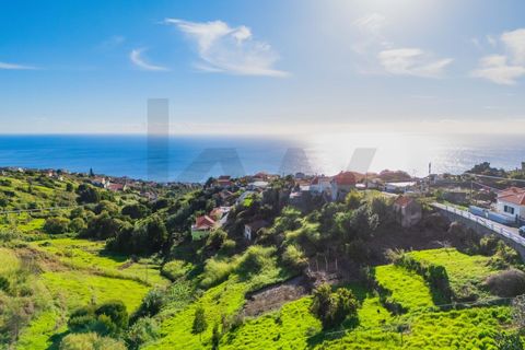 Helårsgrund i Calheta, Madeira, Calheta - € 65.000 | Ref: KWPT-024135 - foto 27