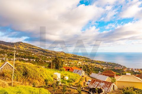 Helårsgrund i Calheta, Madeira, Calheta - € 145.000 | Ref: KWPT-026681 - foto 20