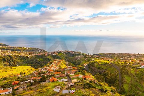 Helårsgrund i Calheta, Madeira, Calheta - € 145.000 | Ref: KWPT-026681 - foto 22