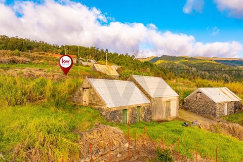 Helårsgrund i Calheta, Madeira, Calheta - € 145.000 | Ref: KWPT-026681 - foto 23