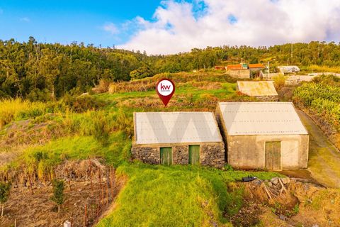 Helårsgrund i Calheta, Madeira, Calheta - € 145.000 | Ref: KWPT-026681 - foto 25