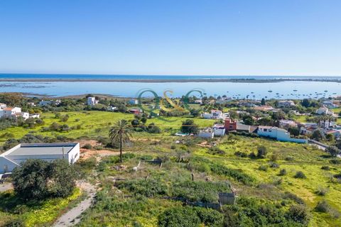 Villa i Olhao, Faro, Olhao - € 2.000.000 | Ref: P80 - foto 7