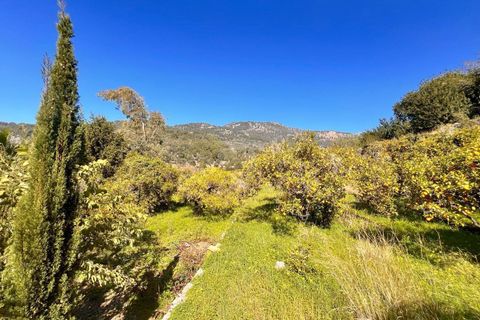 Villa en Soller, Mallorca, Soller - € 4.750.000 | Ref: 302/13728 - photo 26
