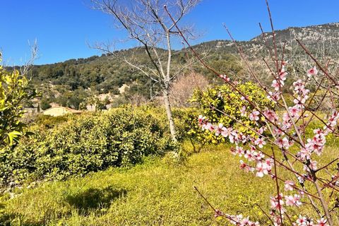 Villa en Soller, Mallorca, Soller - € 4.750.000 | Ref: 302/13728 - photo 31