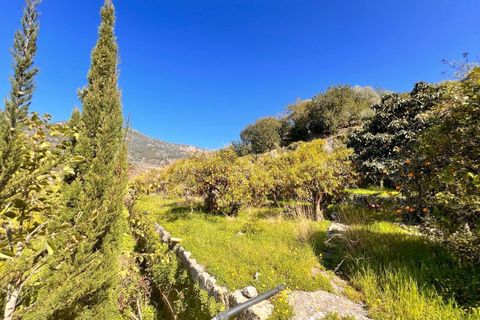 Villa en Soller, Mallorca, Soller - € 4.750.000 | Ref: 302/13728 - photo 32