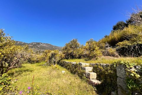 Villa en Soller, Mallorca, Soller - € 4.750.000 | Ref: 302/13728 - photo 33