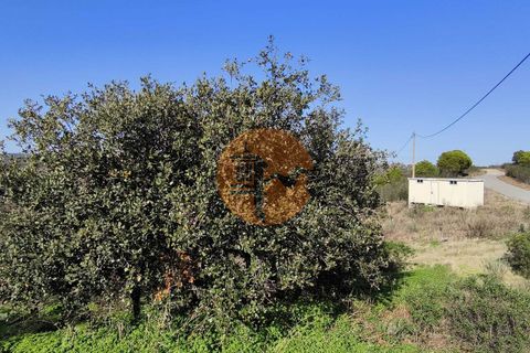 Helårsgrund i Castro Marim, Faro, Castro Marim - € 16.900 | Ref: SU-CS-TR-93584 - foto 15