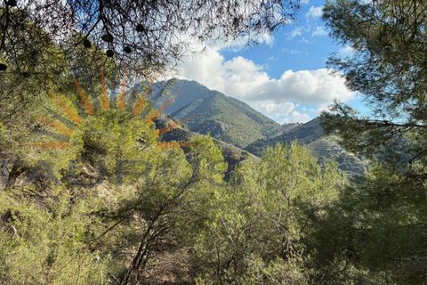 Villa a Competa, Malaga, Competa - € 435.000 | Ref: C3949 - foto 28