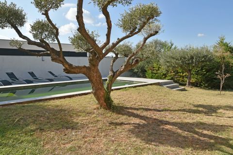 Villa i Saint-Dionisy, Gard, Saint-Dionisy - € 489.000 | Ref: 06994 - foto 7