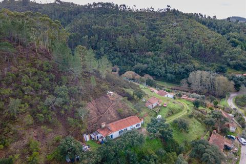 Farm i Monchique, Faro, Monchique - € 285.000 | Ref: DHA0145 - foto 6