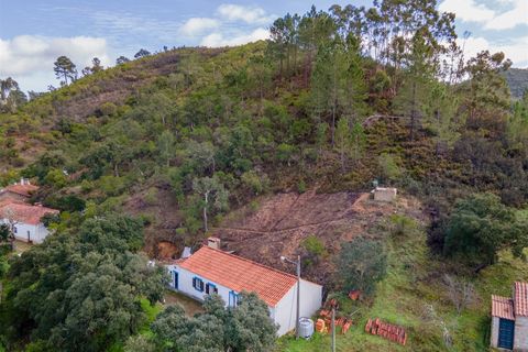 Farm i Monchique, Faro, Monchique - € 285.000 | Ref: DHA0145 - foto 2