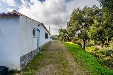 Farm i Monchique, Faro, Monchique - € 285.000 | Ref: DHA0145 - foto 8