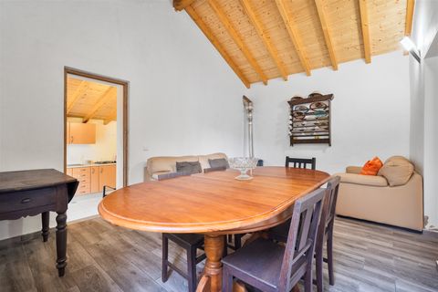 Farm i Monchique, Faro, Monchique - € 285.000 | Ref: DHA0145 - foto 15