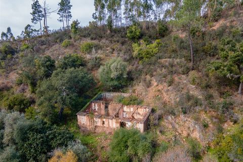 Farm i Monchique, Faro, Monchique - € 285.000 | Ref: DHA0145 - foto 7