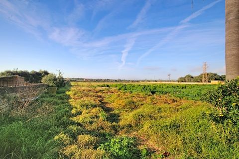 Villa a Santanyi, Mallorca, Santanyi - € 5.250.000 | Ref: SAE 1945 - foto 39