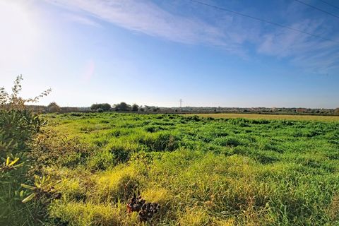 Villa a Santanyi, Mallorca, Santanyi - € 5.250.000 | Ref: SAE 1945 - foto 41