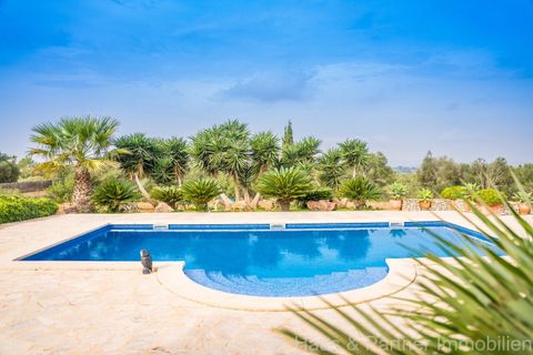 Finca i Manacor, Mallorca, Manacor - € 1.575.000 | Ref: 9031 - foto 23
