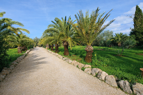 Finca i Llucmajor, Mallorca, Llucmajor - € 1.650.000 | Ref: FALC-HeMa-80215 - foto 25