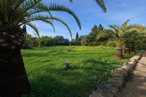 Finca i Llucmajor, Mallorca, Llucmajor - € 1.650.000 | Ref: FALC-HeMa-80215 - foto 27