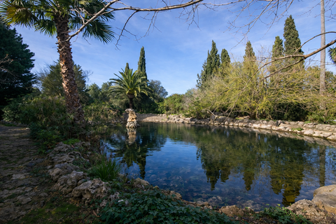 Finca i Llucmajor, Mallorca, Llucmajor - € 1.650.000 | Ref: FALC-HeMa-80215 - foto 31