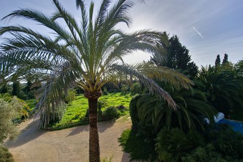 Finca i Llucmajor, Mallorca, Llucmajor - € 1.650.000 | Ref: FALC-HeMa-80215 - foto 40