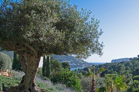 Villa a Andratx, Mallorca, Andratx - € 6.950.000 | Ref: 51570001_AA/11003 - foto 36