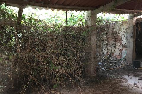 Villa a Benejuzar, Alicante, Benejuzar - € 95.000 | Ref: EXP12694/8930 - foto 29