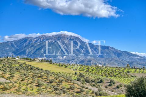 Landejendom i Vinuela, Malaga, Vinuela - € 590.000 | Ref: 0472 - foto 23