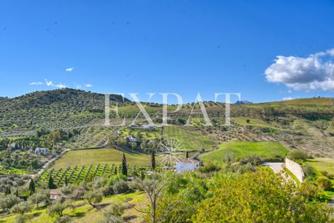 Landejendom i Vinuela, Malaga, Vinuela - € 590.000 | Ref: 0472 - foto 25