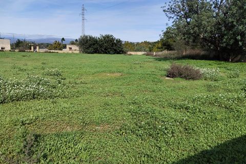 Helårsgrund i Lliria, Valencia, Lliria - € 67.450 | Ref: L-406U/5747 - foto 1