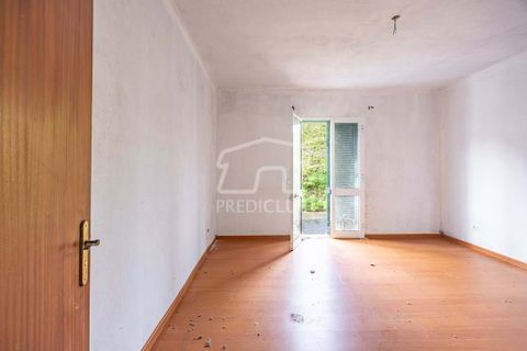 Villa i Santana, Madeira, Santana - € 240.000 | Ref: 11527-JG - foto 8