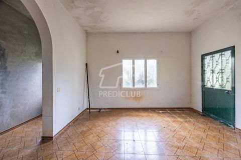 Villa i Santana, Madeira, Santana - € 240.000 | Ref: 11527-JG - foto 11