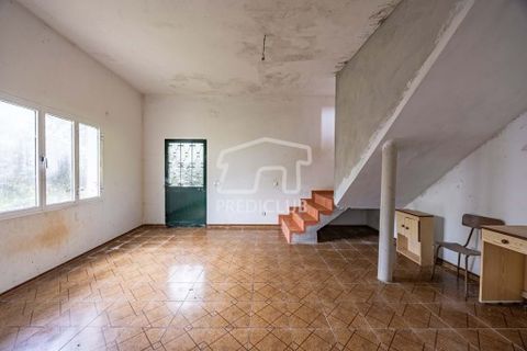Villa i Santana, Madeira, Santana - € 240.000 | Ref: 11527-JG - foto 12