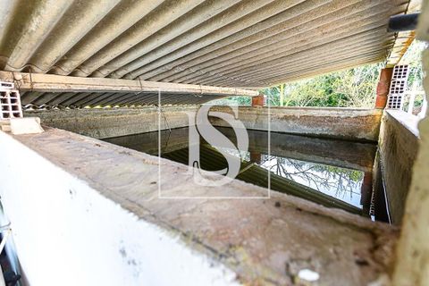 Villa i Tavira, Faro, Tavira - € 650.000 | Ref: DSTVRBFA203 - foto 3